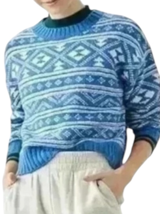 American Eagle Outfitters Sweaters - AMERICAN EAGLE Fair Isle Snowdrift Pullover Sweater  in Blue/Shite Size XL